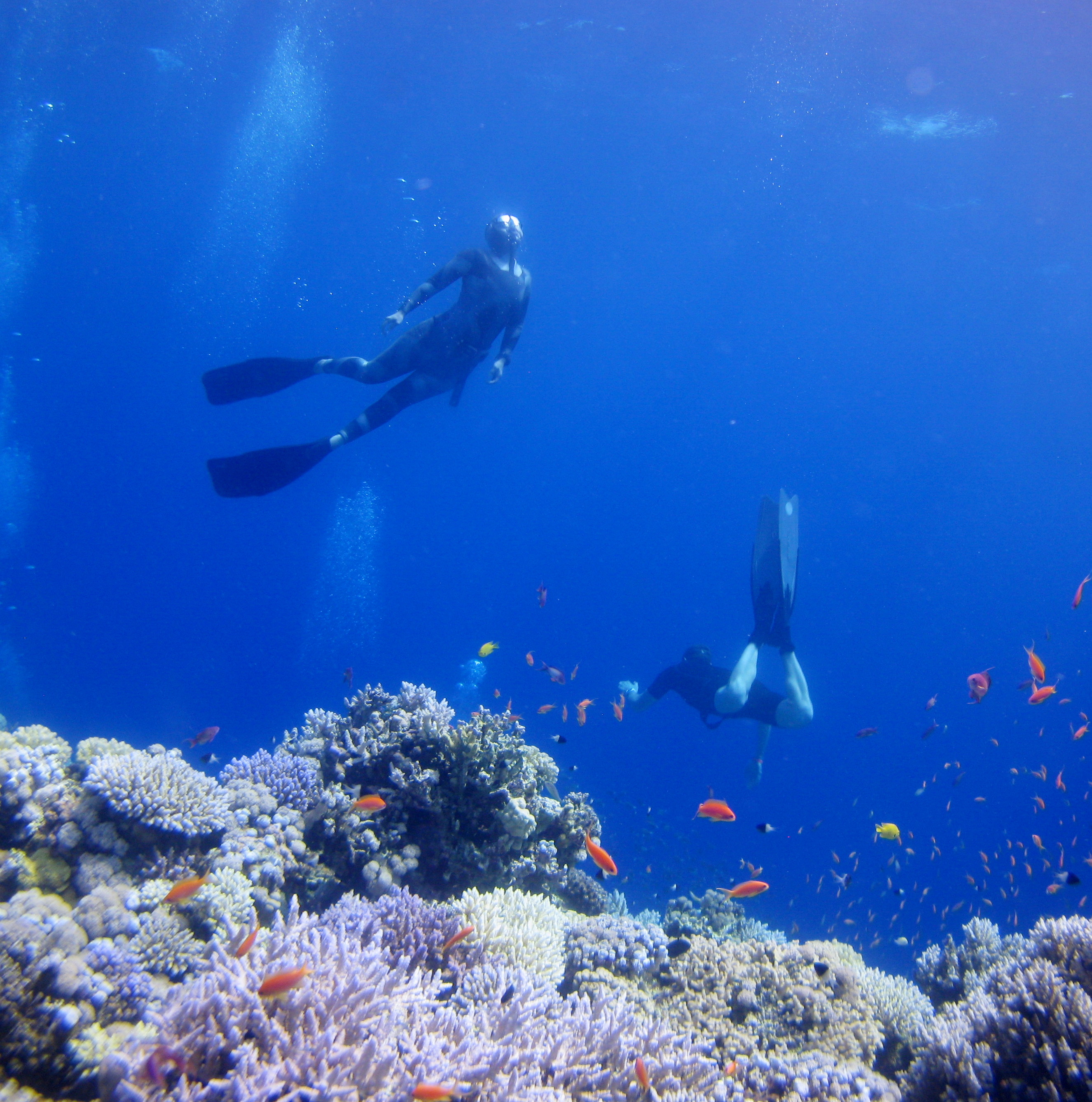 Blue Hole (Dahab)