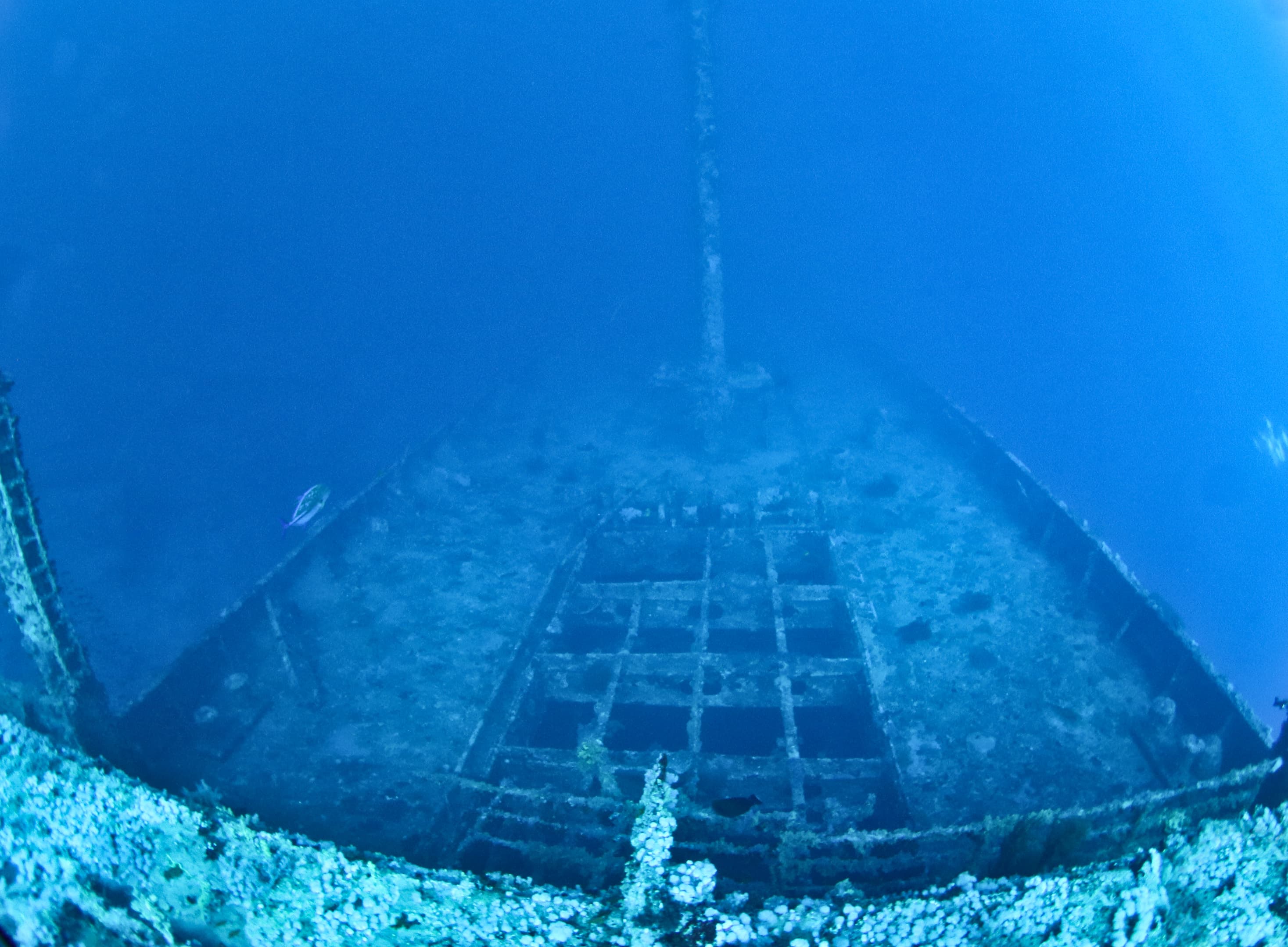 Numidia Wreck