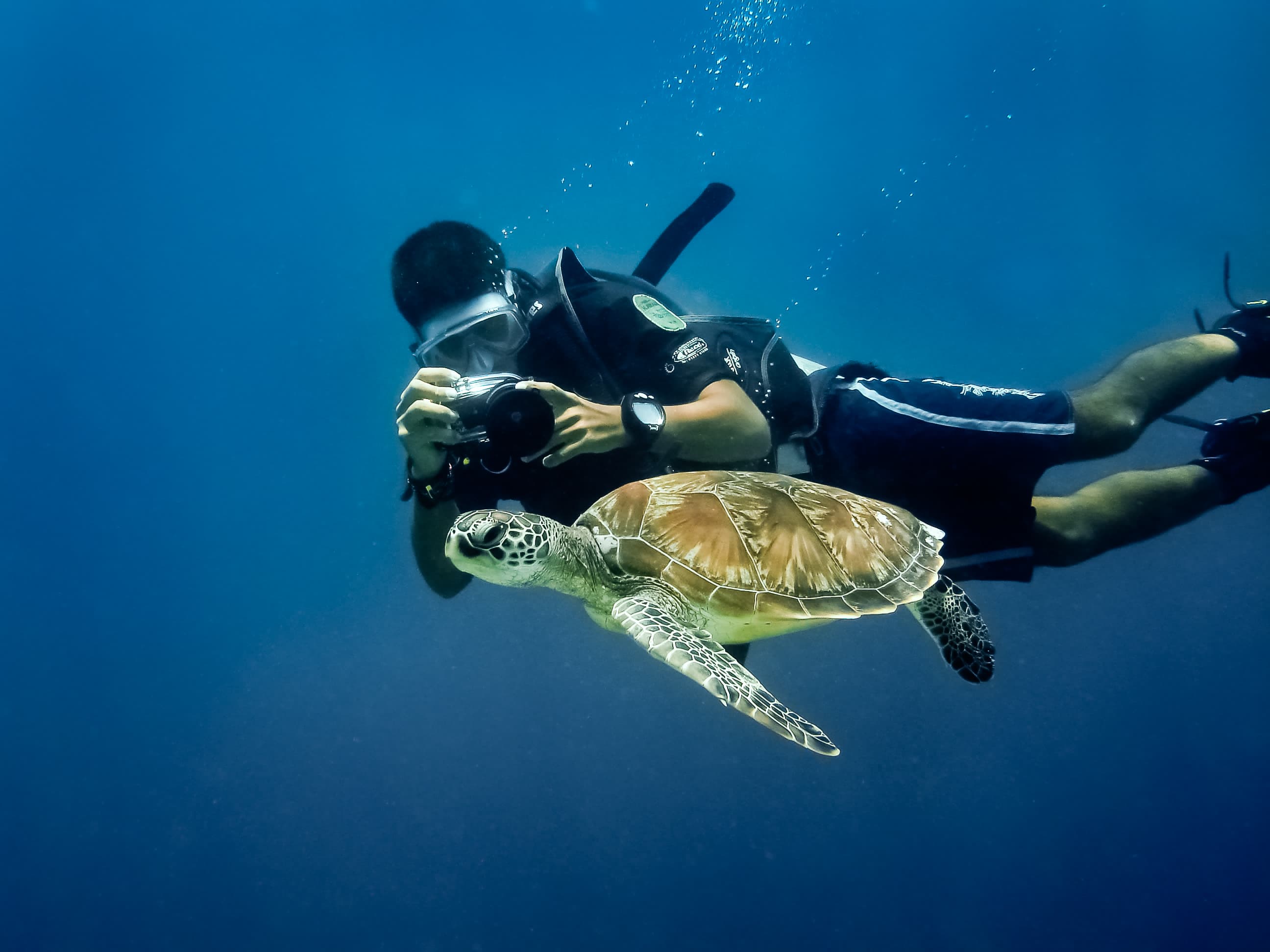 Drop-Off (Sipadan)
