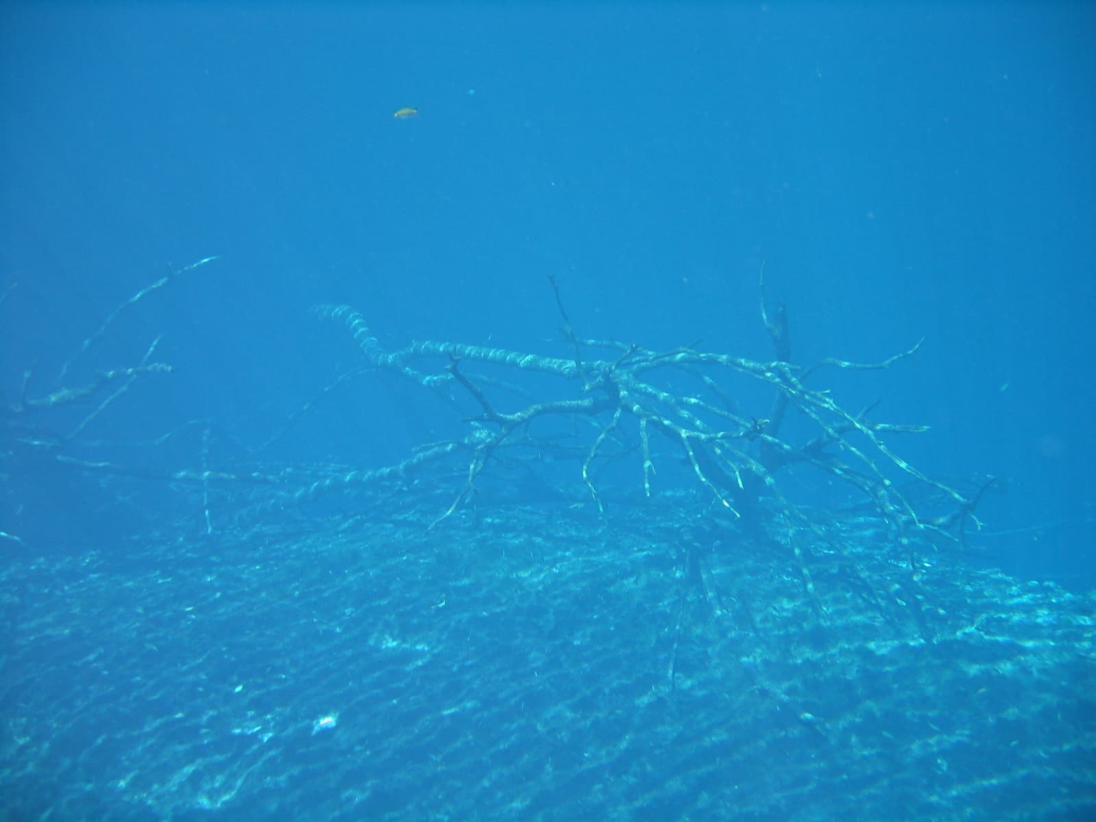 Cenote Carwash