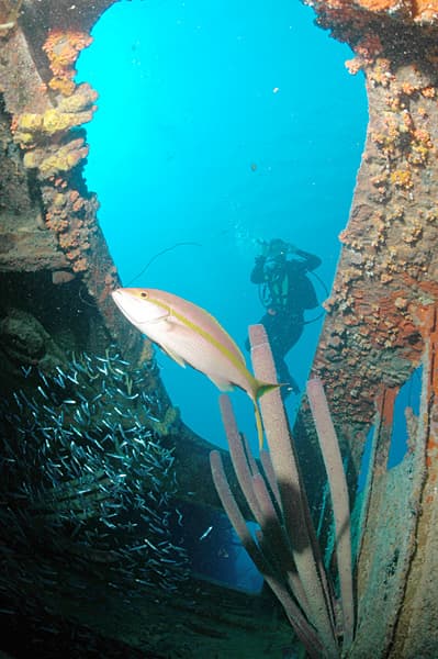 Hilma Hooker Wreck