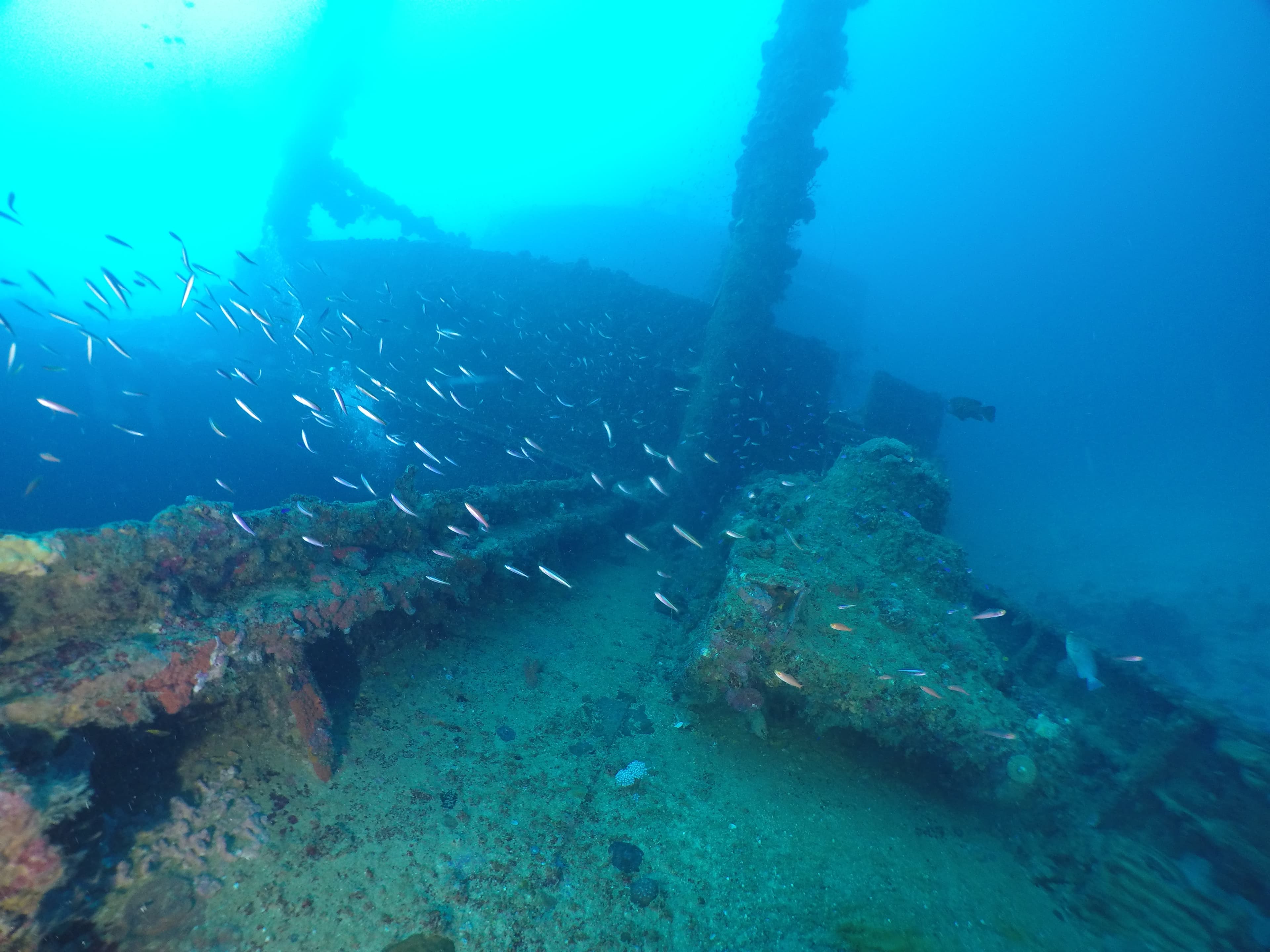 Nippo Maru