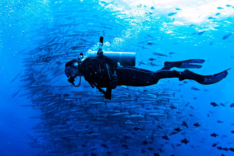 Barracuda Point