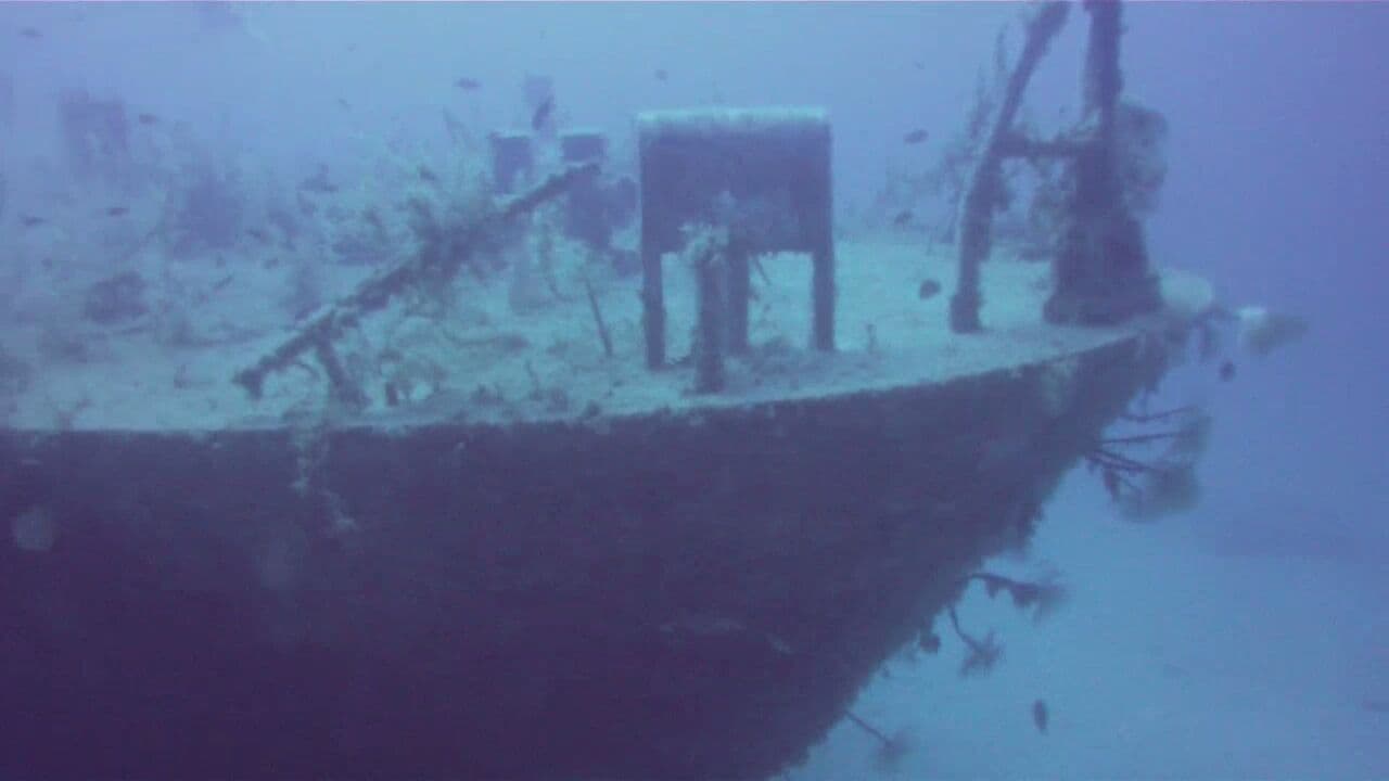 P29 Patrol Boat