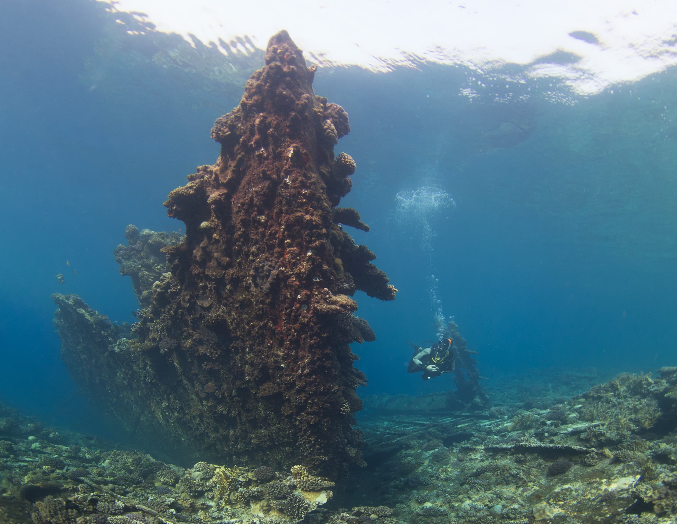 Chrisoula K (Tile Wreck)