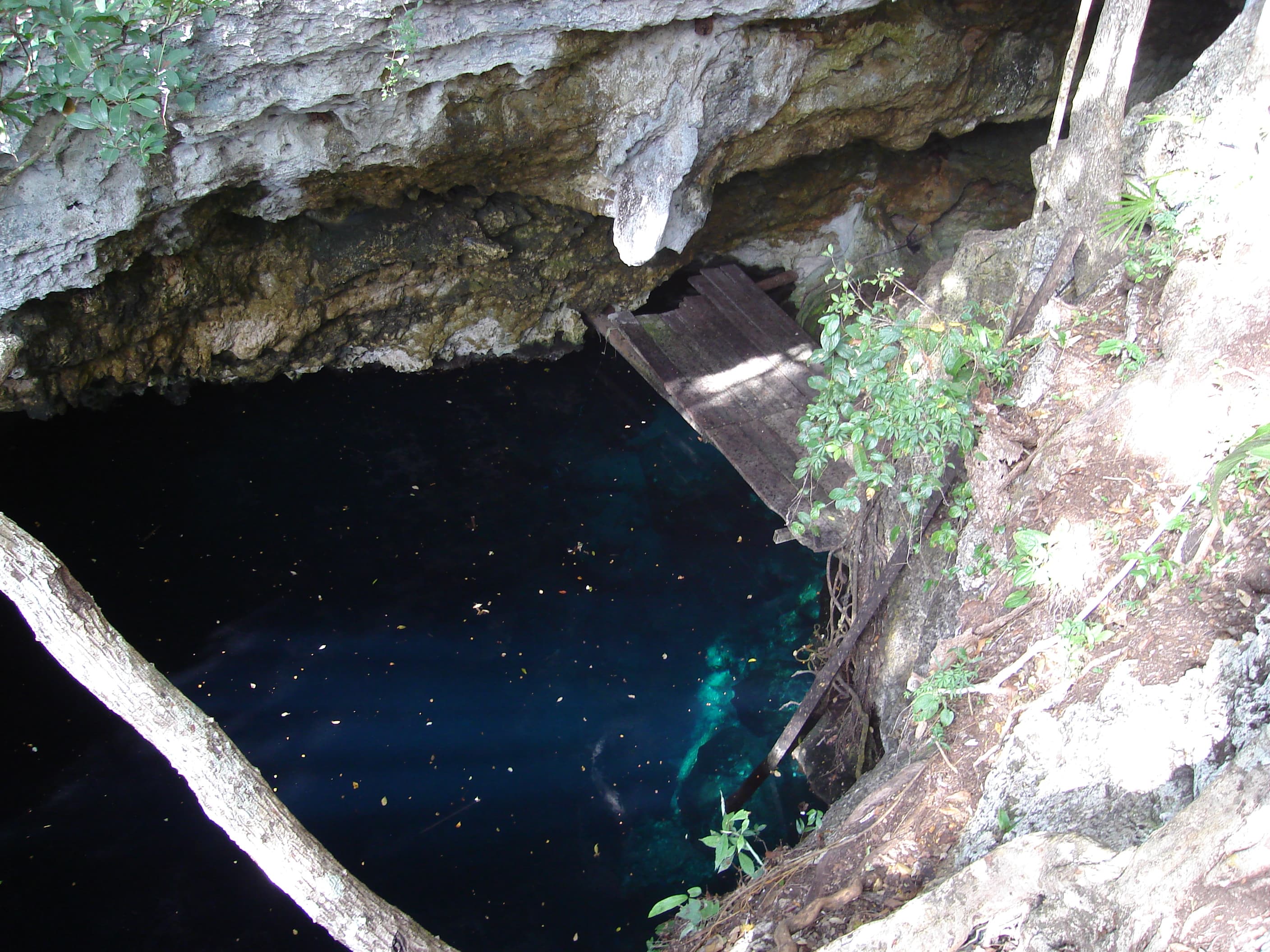 The Pit