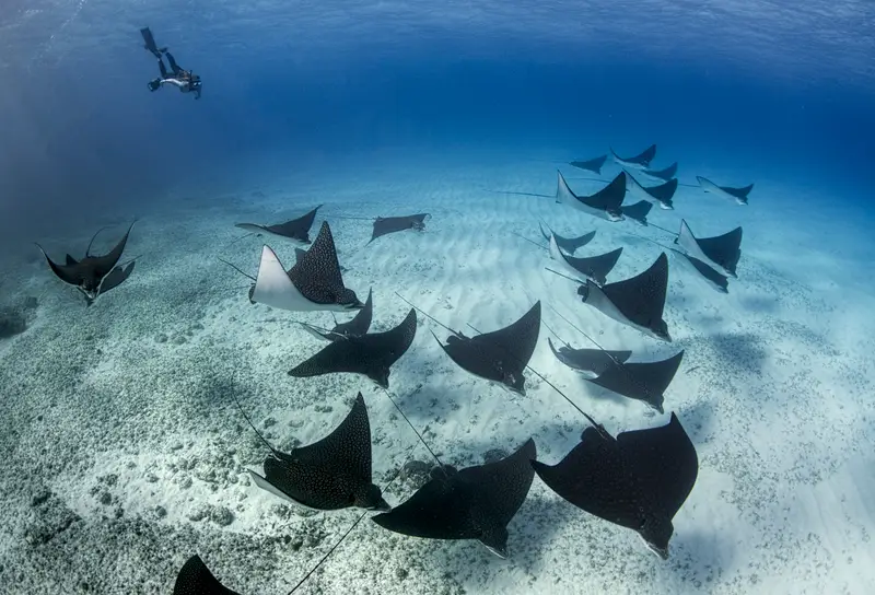 Valley of the Rays