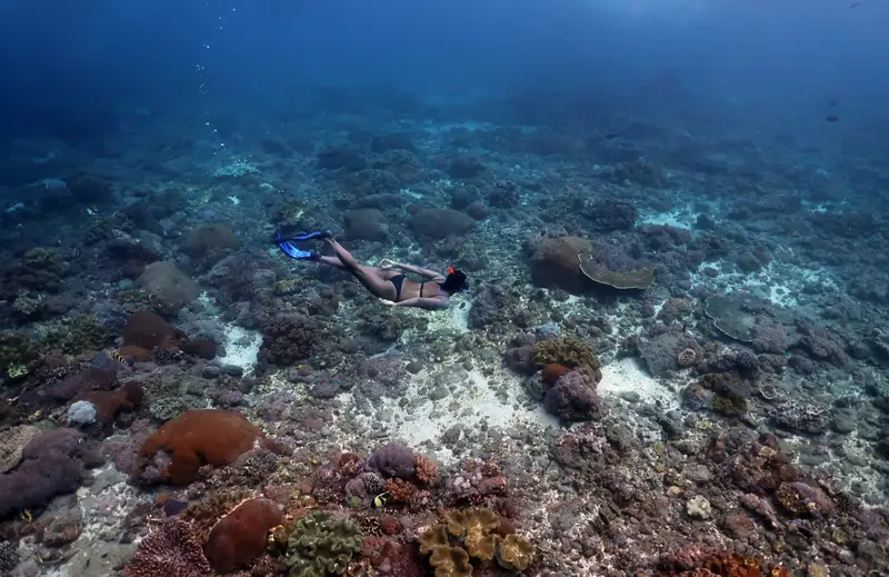 Manta Point (Nusa Penida)