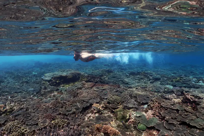 Crystal Bay (Nusa Penida)