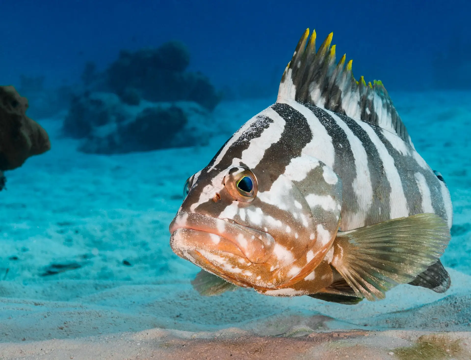 Underwater at Third Encounter