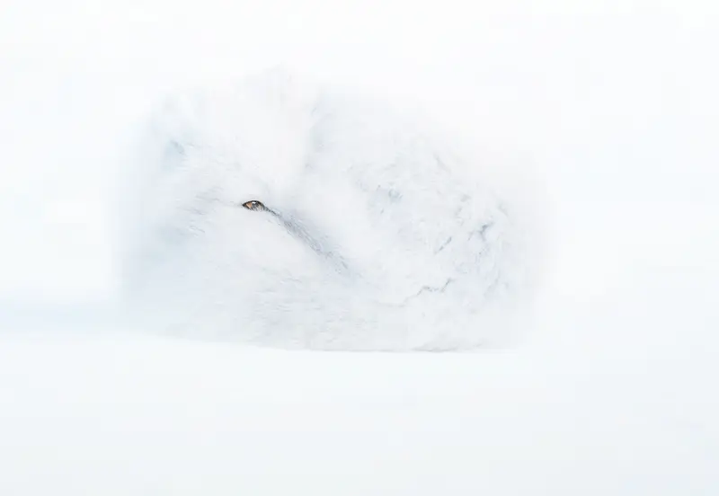Silfra Fissure