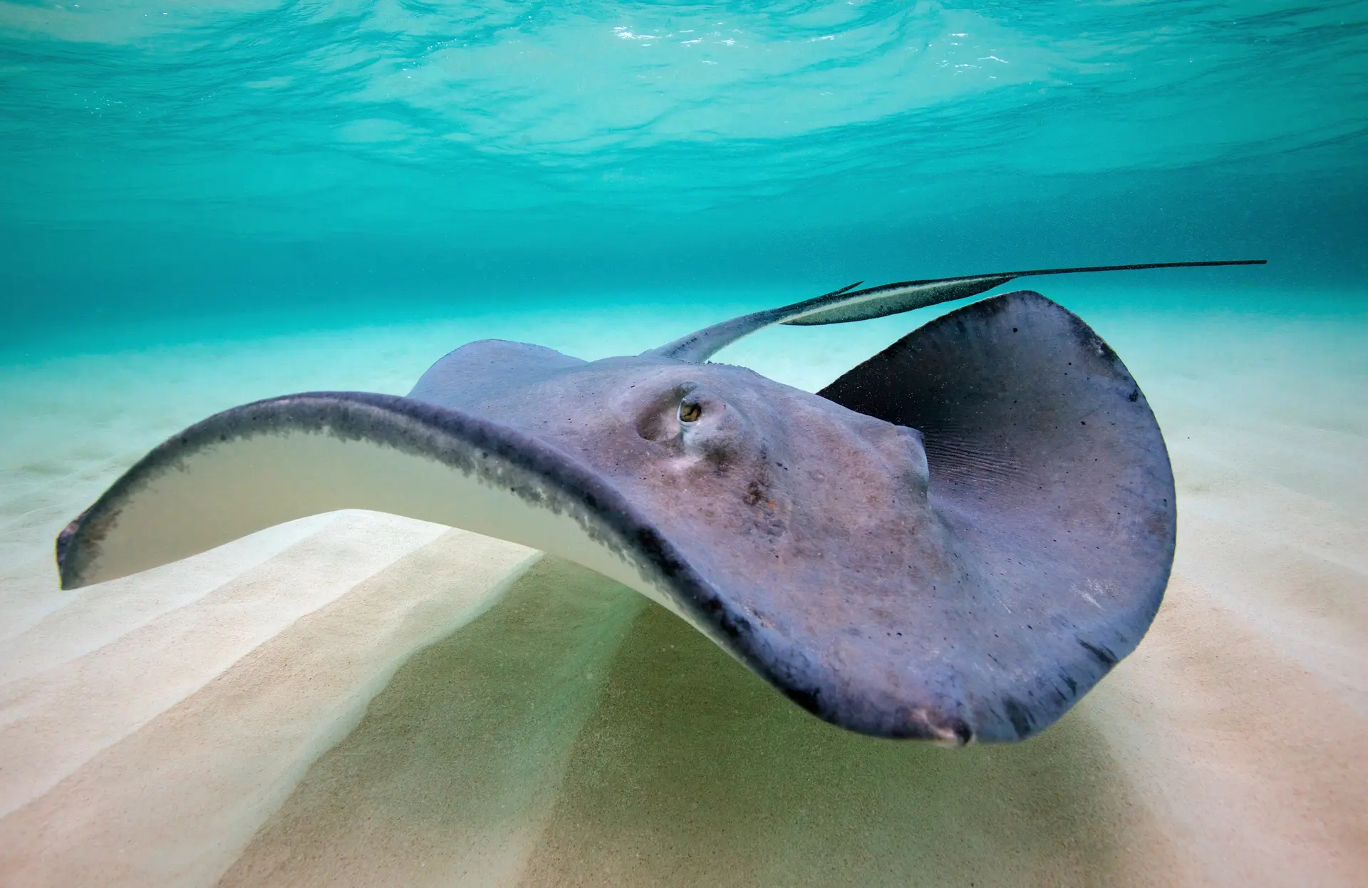 Underwater at Quarter Mile Reef