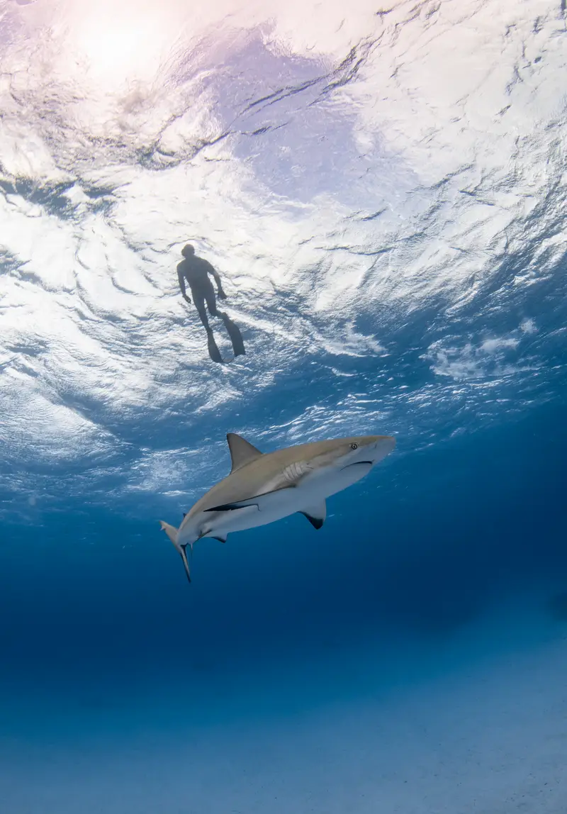 Stingray City