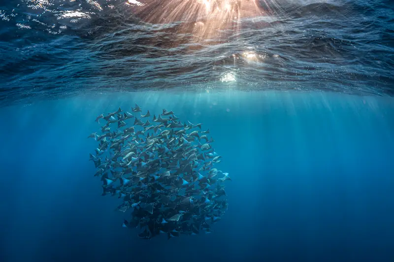 Avana Passage Rarotonga
