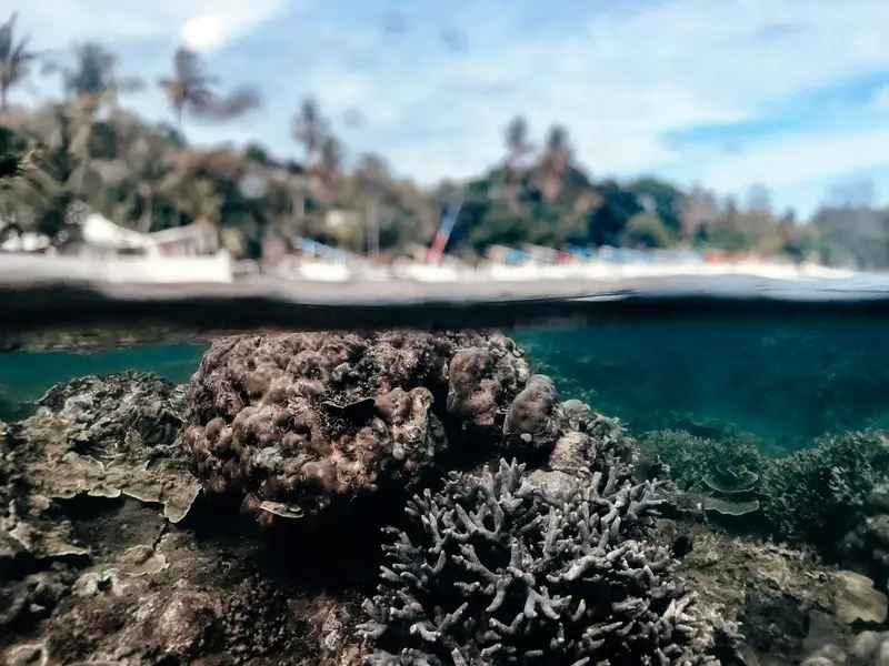Amed Shipwreck