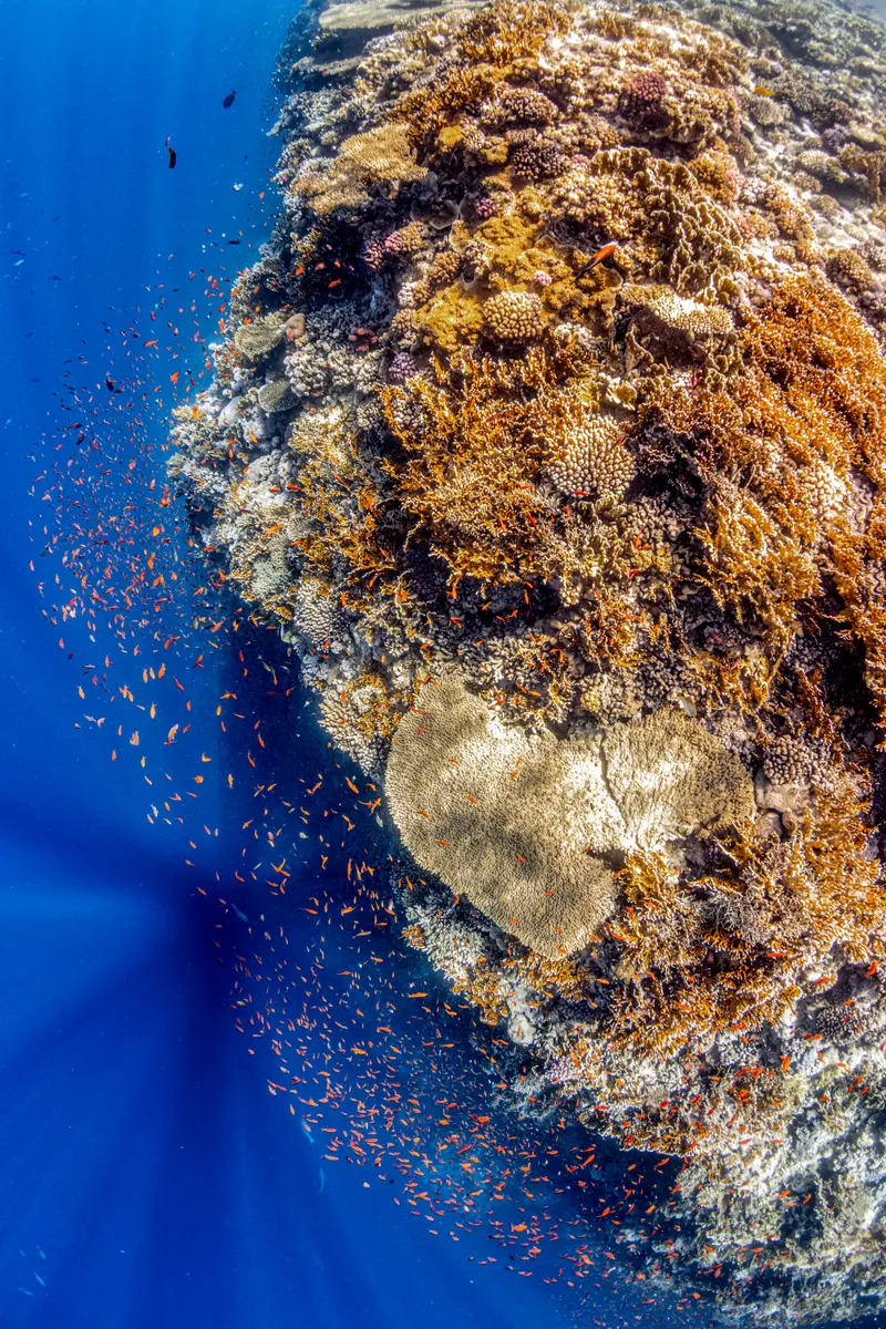 SS Thistlegorm Wreck