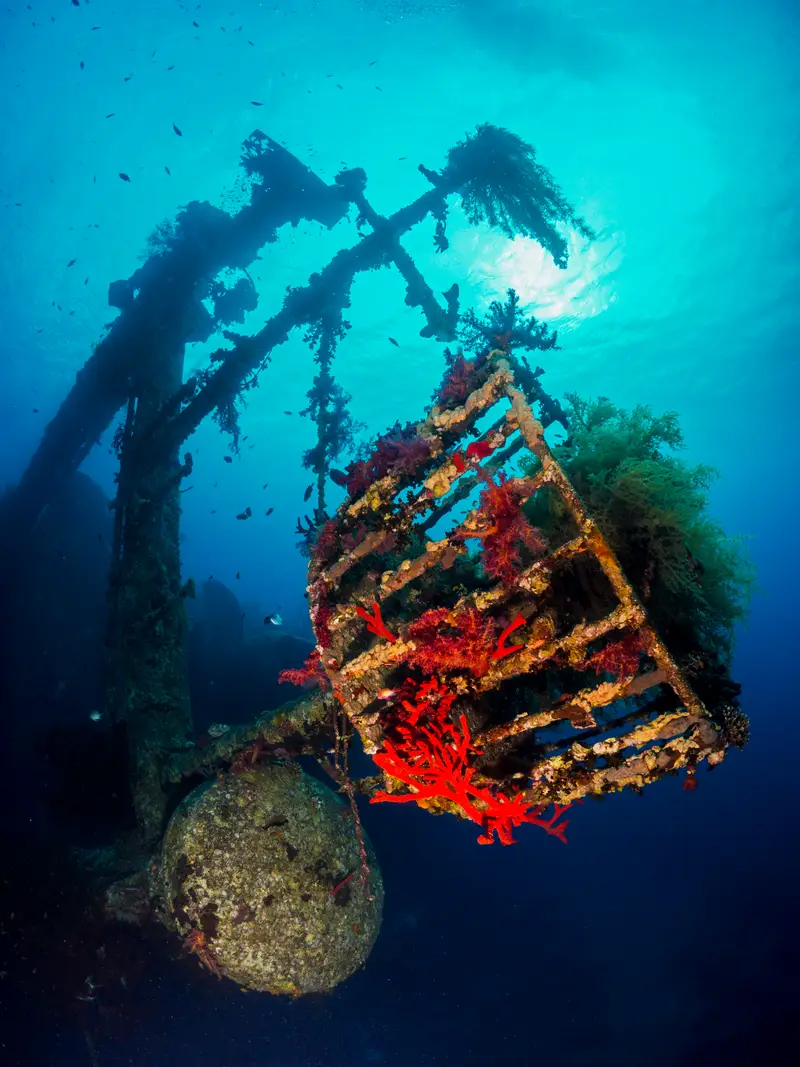Cedar Pride Wreck
