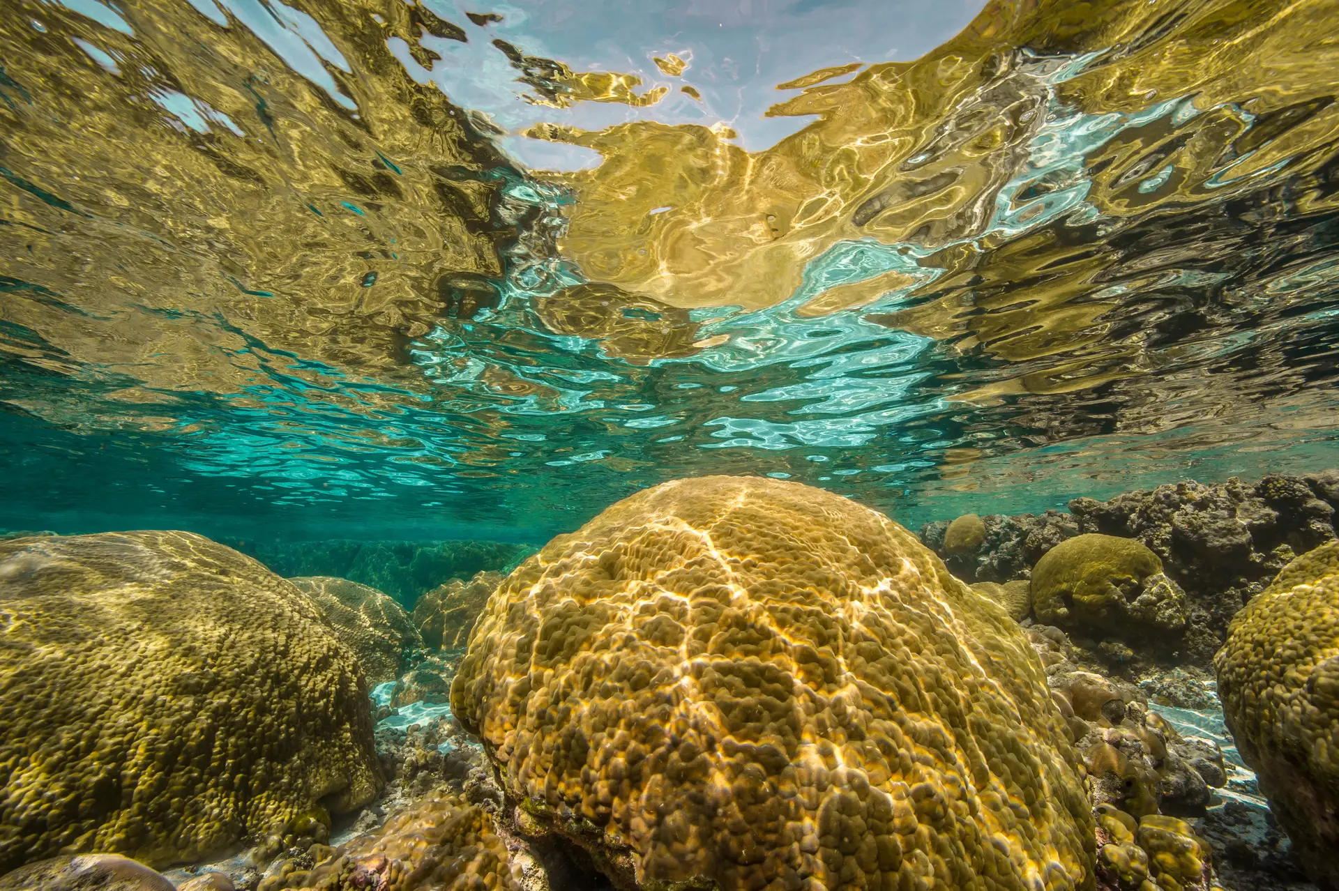 Underwater at Kimon M (Lentil Wreck)