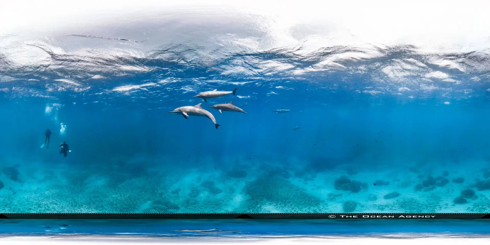 Underwater reef at Hurghada