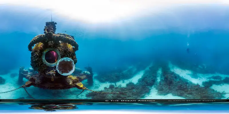 Molasses Reef