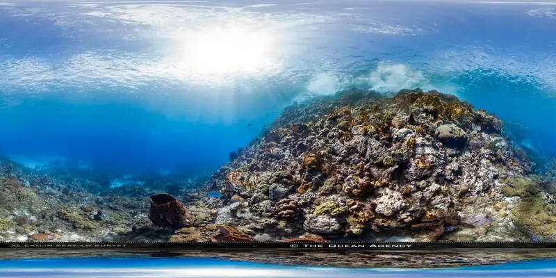 Champagne Reef Dominica