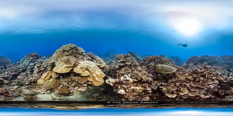 Sunayama Reef Okinawa