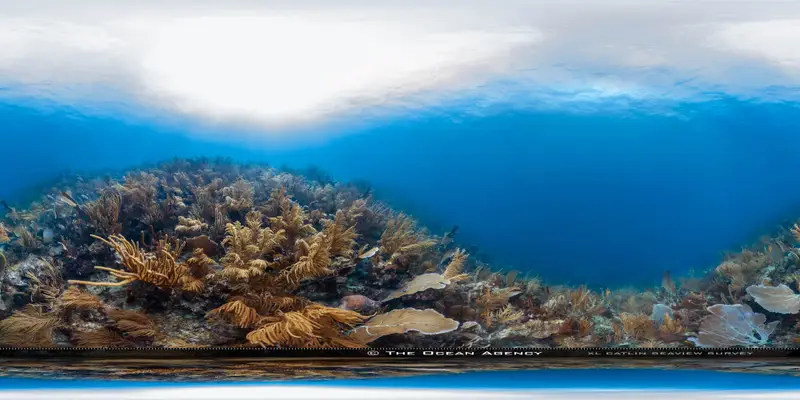 Punta Izopo Wall