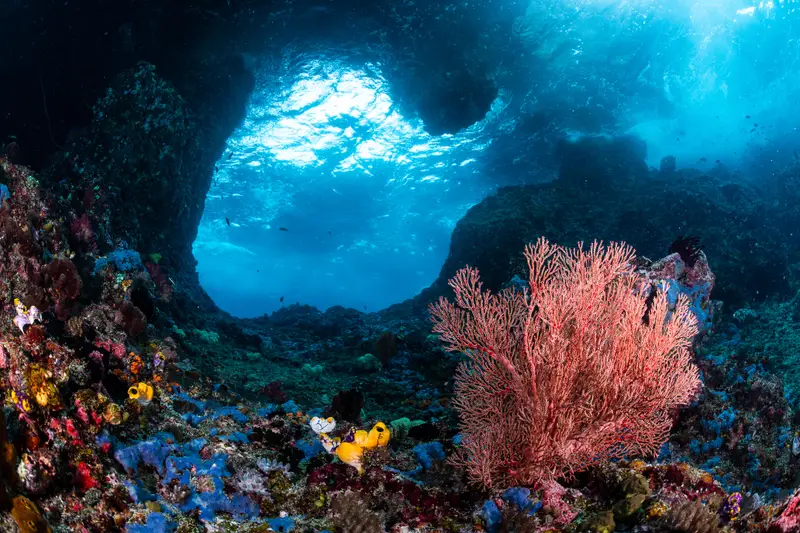 Halik Reef